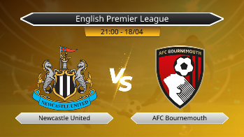 English Premier League - Newcastle United vs AFC Bournemouth