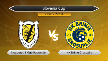 Slovenia Cup Nogometni Klub Radomlje VS NK Brinje Grosuplje