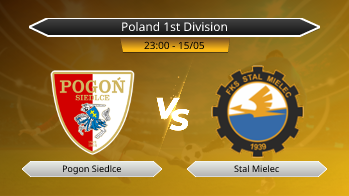 Poland 1st Division Pogon Siedlce VS Stal Mielec